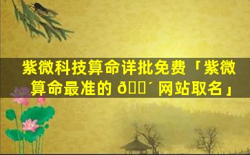 紫微科技算命详批免费「紫微算命最准的 🌴 网站取名」